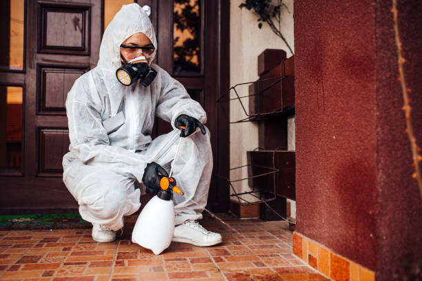 Reliable Cockroach Control contractor in Pahrump, NV by Nex Pest Control